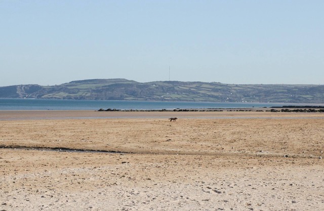 Bay View