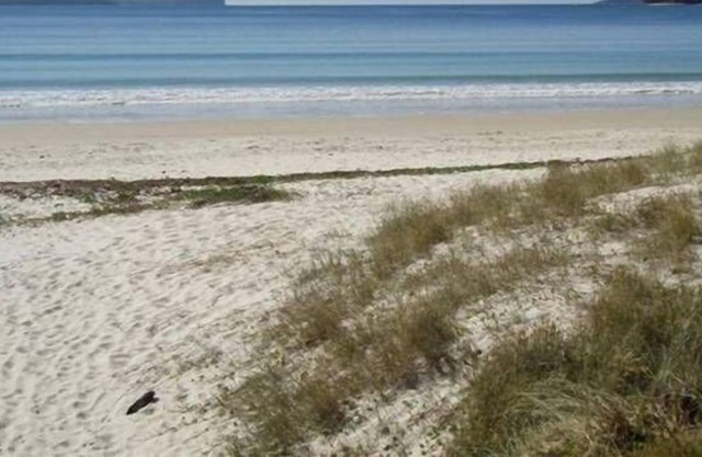 Bayswater Beach House - Unit 2