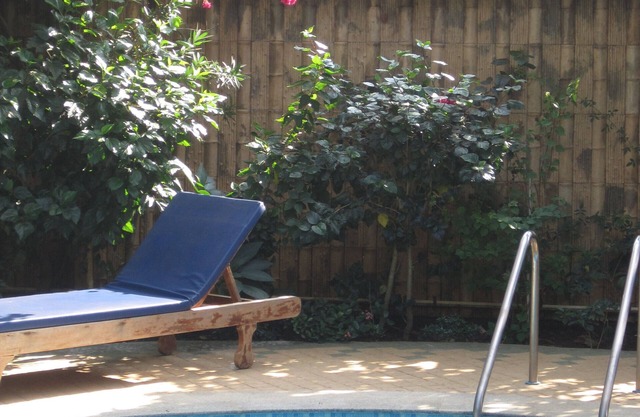 Beach & basic shopping15 min. walk,swimpool in season, garden, cook on request