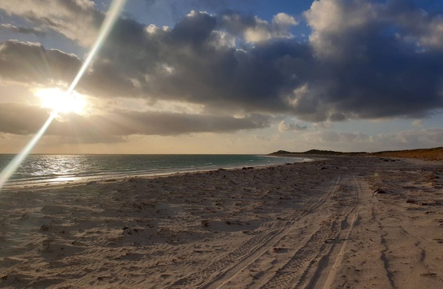 Beach Camp - Plenty of lawn with a 5min walk to the beach !
