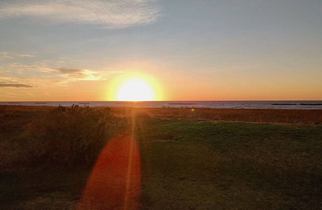 Beach Life-Ruff E Nuff - Coastal Realty Group