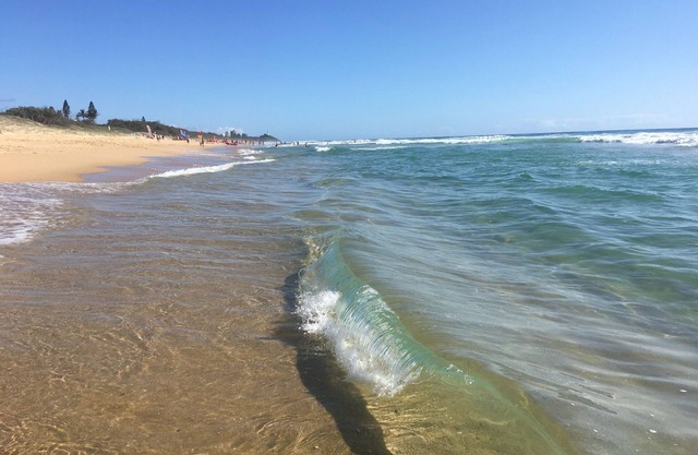 BEACH Luxury Upmarket 2B 2B unit, OCEAN VIEWS! 250m to BUDDINA BEACH!