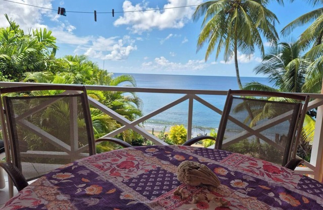 Beachfront 1-Bedroom Apartment with Saltwater Pool Access on Great Courland Bay