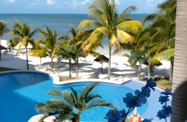 Beachfront and Ocean View Apartment