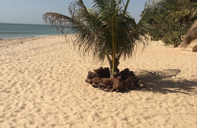 Beachfront villa with garden - Saly