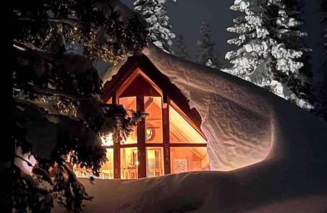 Bear Valley Alpine Cabin-3bdrm2bth