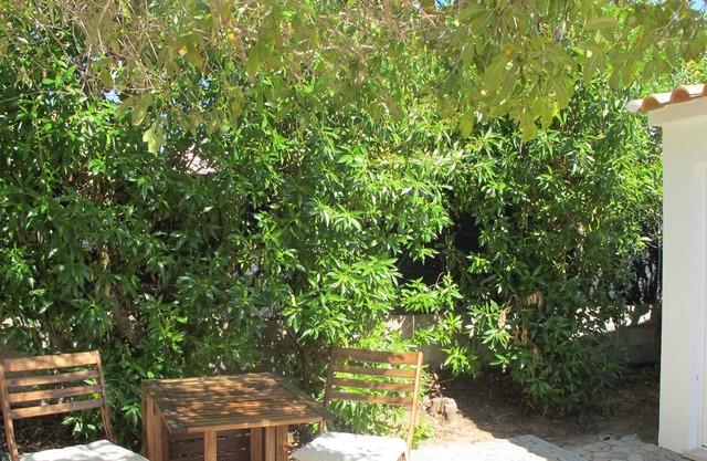 Beautiful, newly renovated, romantic cottage walking distance to golden beaches
