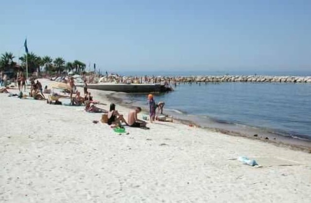 Beautiful studio 150m from the beach and 50 m of a pine tree (Internet access)