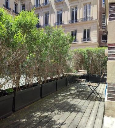 Beautiful apartment with terrace in Paris 8