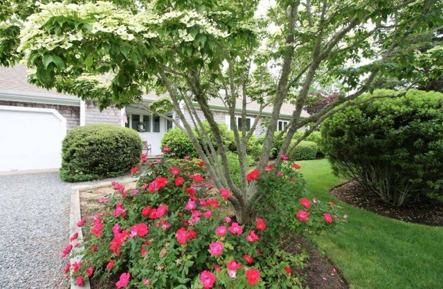 Beautiful Cape Cod Summer Home