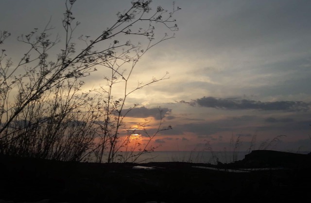 Beautiful Country View with a large terrace. 2 minutes walk from the beach!