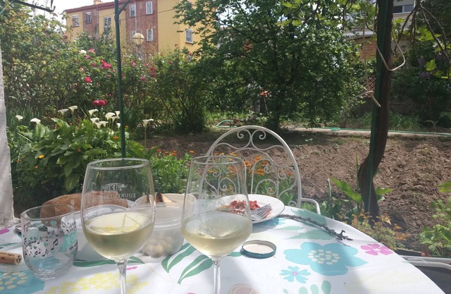 BEAUTIFUL GROUND HOUSE IN LOGROÑO WITH TERRACE AND GARDEN