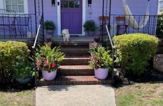 Beautiful home away from home in downtown Charleston.