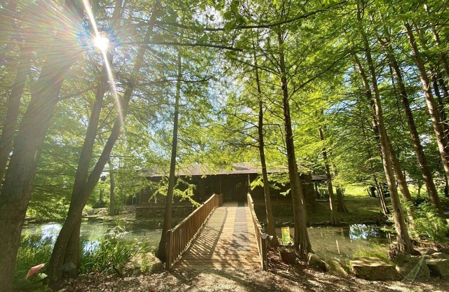 Beautiful home- near the University-large outdoor spaces and a hot tub.
