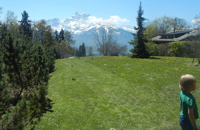 Beautiful Mountain Chalet Apartment perfect for families