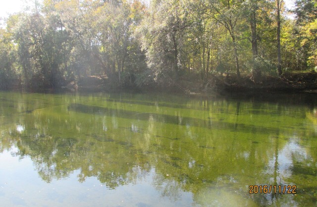 Beautiful Property On The Santa Fe River