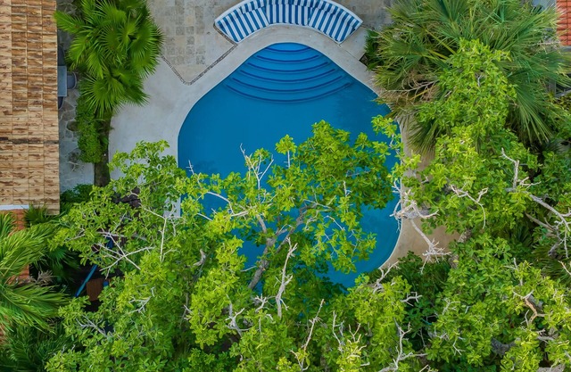 Beautiful studio, at Playa del Carmen