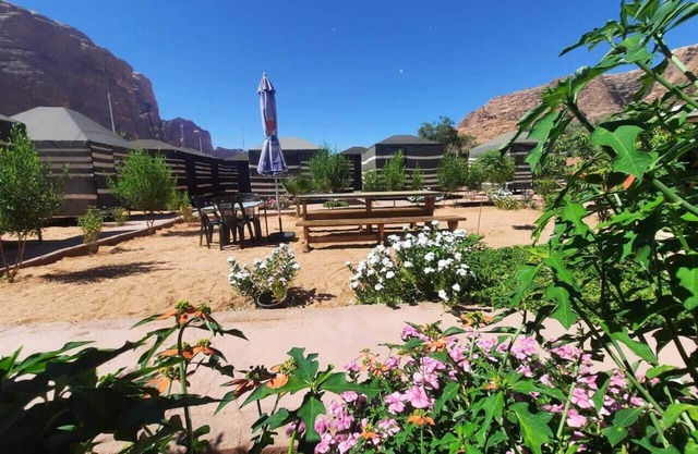 Bedouin village camp