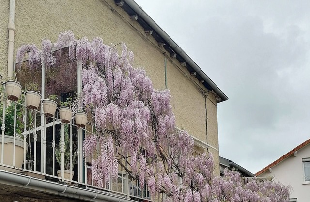 Bel Appartement Dans Petite Copropriété