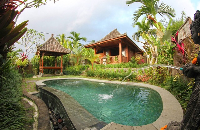 Belvilla Moksha Ceking Rice TerraceNearUbud Jungle Swing