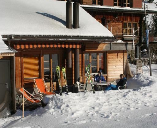 Bergdohle