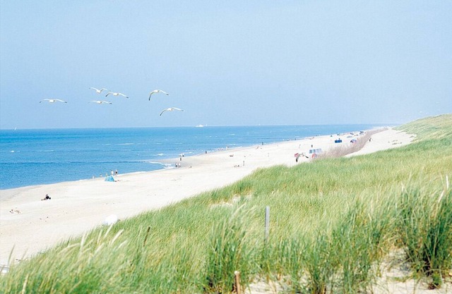 Bergen Getaway | Cozy Haven w/On-Site Dining | Dunes, Nature & Beach Escape