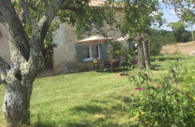 Between bastides, vineyards and forests