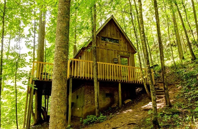 Bird Nest Cabin: A Charming Hideaway Close to Natural Bridge, Dining, and Trails