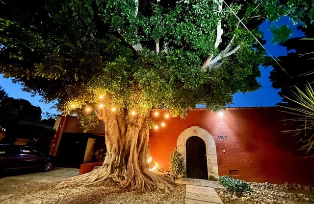 Bitcoin House Oaxaca - Space and Room for Everybody