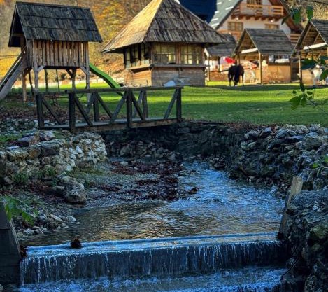 Bjelasnica-Villa-Treskina dvorišta-Apartmani-Izletište-Ribnjak