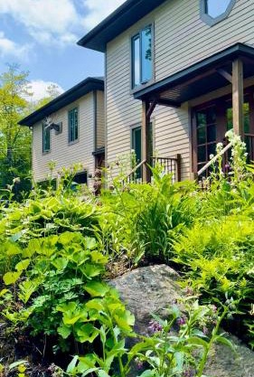 Blue Hill Pool spa game room mountain view