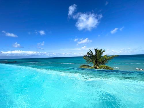 BLUE MARE DELUXE BAVARO VILLAS - Beach Suites, Concierge Service & SPA
