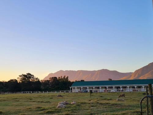 Blue Mountain Farm Lodge, Cabins & Cottages