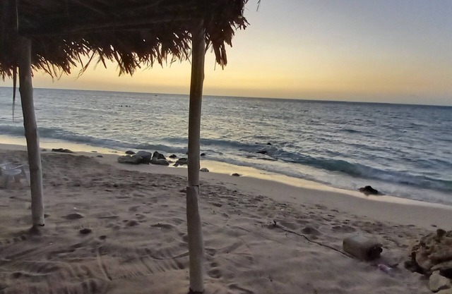 Blue Paradise Inn