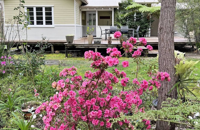 Blue Wren Lodge - forest setting & close to town.