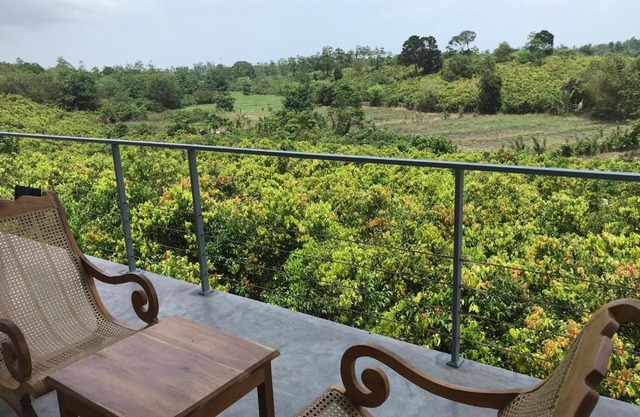 BoBo's Cinnamon Estate Duwabedda Sri Lanka