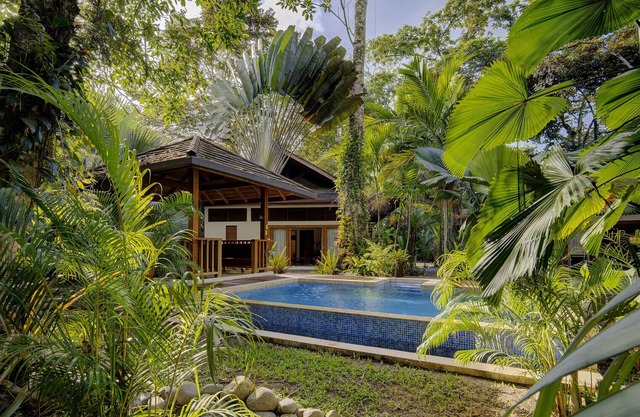 Bodhi House. Tropical balinese style house