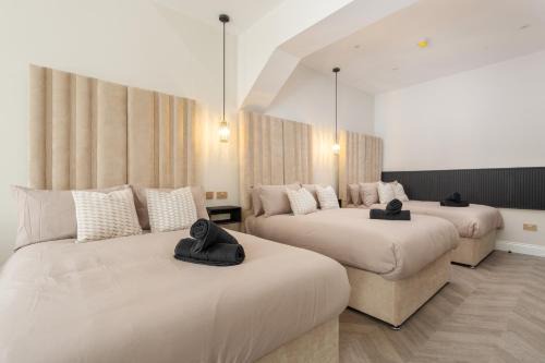 Bold St 8 Apartments Book Together Unique