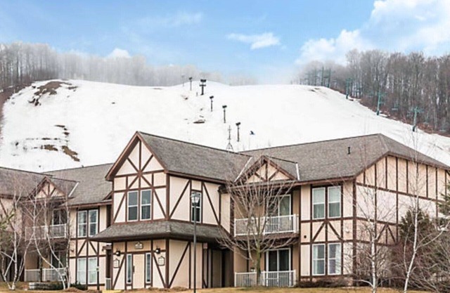 Boyne Mountain 1 BR Condo Full Kitchen, in-unit washer/dryer, fireplace A1