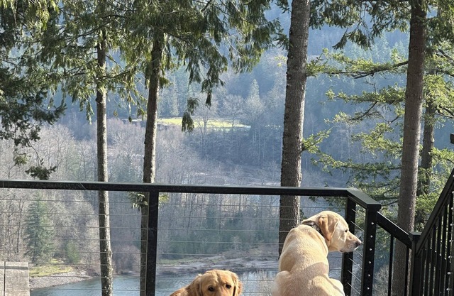 Breathtaking views 2-bedroom guest suite: fish, ski, bike, hike, wine tasting