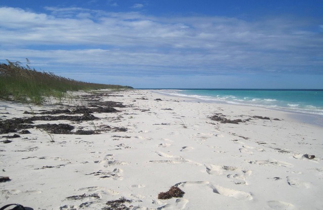 Breezy Island Cottage: A Private Bahamian Escape