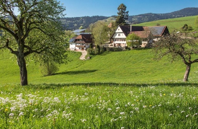 Breigenhof - 5 vacation apartments - sunny location
