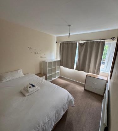 Bright Apartment near Lewisham Station