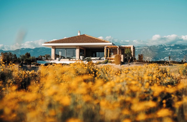 Brioni - Plant Villas