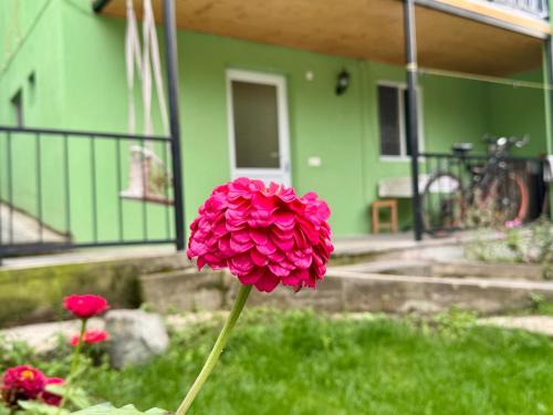 Buddy Apartment Borjomi