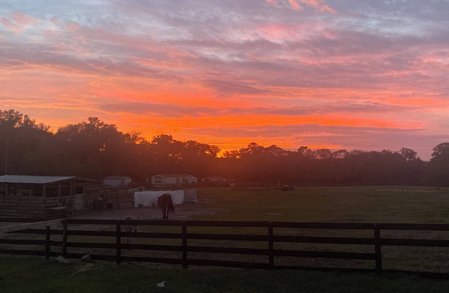 Budget friendly Cozy 2/2 Mobile Home farm Close to WEC and Rainbow Springs