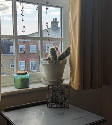 Budget single room close to Bedford