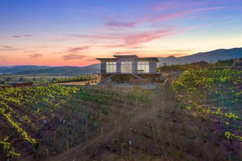 Buena Vista - Valle De Guadalupe