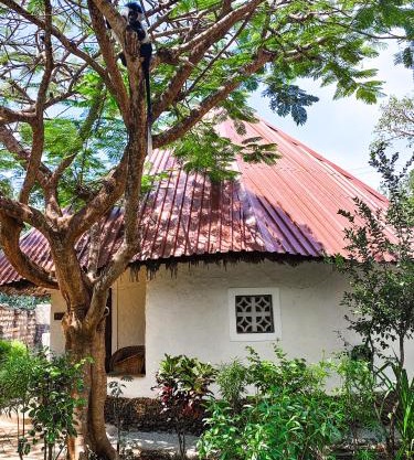 Bushbaby Cottage Diani Beach - with Starlink Highspeed Internet !