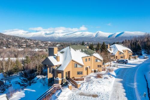 C15 Ski-In Ski-Out Townhouse with Hot Tub & Stunning Mount Washington Views, Pets welcome